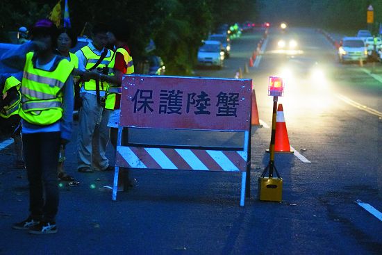 Interval traffic control measure is implemented during the Siangjiao Bay land crab protection action to allow volunteers regulating timing to help land crabs crossing the road