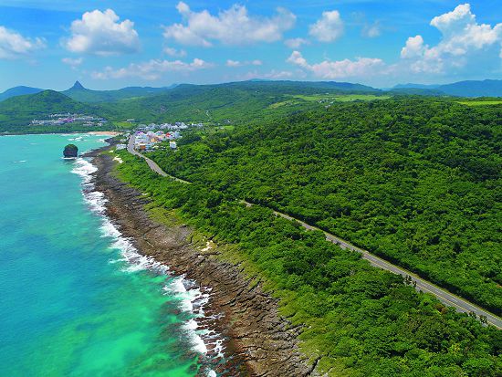 Coastal forest of Siangjiao Bay is important habitat for land crabs / Chung-Neng Chen