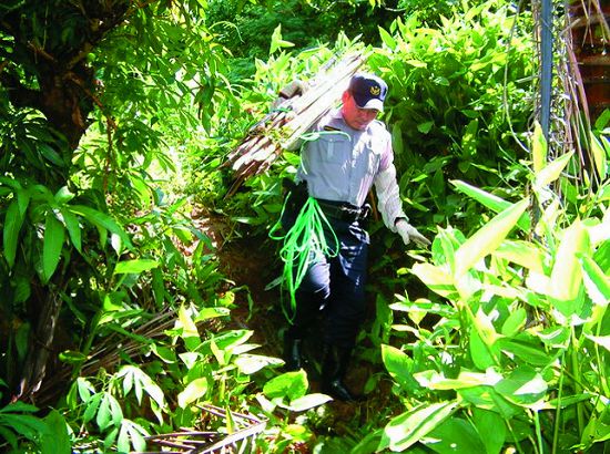 國家公園警察取締墾丁國家公園內鳥仔踏/墾管處提供