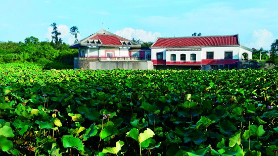 雙鯉濕地自然中心南立面／李佳翰攝