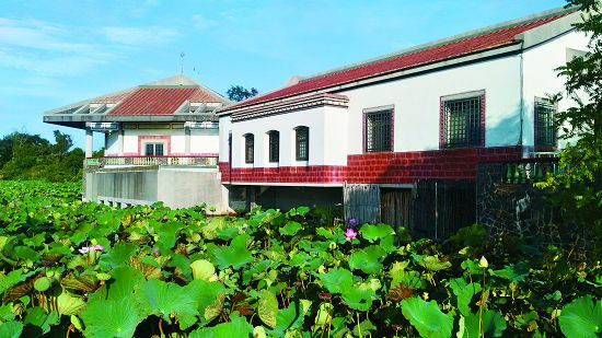 雙鯉濕地自然中心建築語彙／編輯部整理（底圖：李佳翰攝）