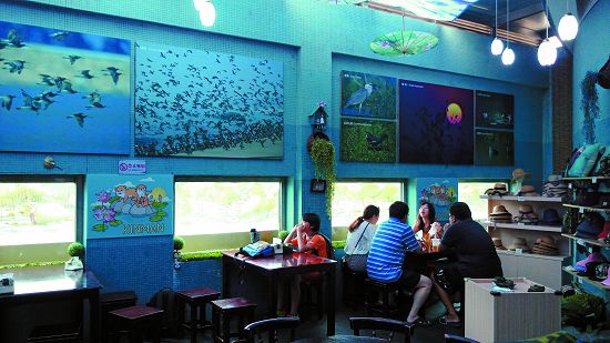 舒適的展示空間，讓遊客可以悠閒觀察窗外生態／李佳翰攝