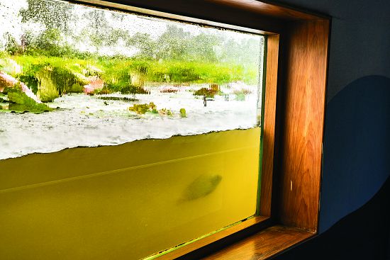 舒適的展示空間，讓遊客可以悠閒觀察窗外生態／李佳翰攝