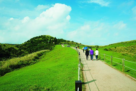 大嶺(擎天崗)曾是牛隻成群,現今擎天崗步道是遊客使用頻度很高的一條步道/楊懷智攝