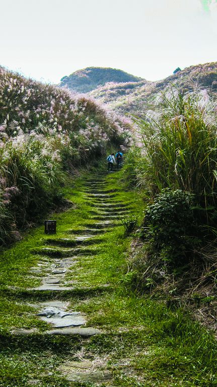 金包里大路在清代成為重要的產業聯絡道,路基由石板鋪成,有許多陡升與陡降的階梯段/王姵琪攝