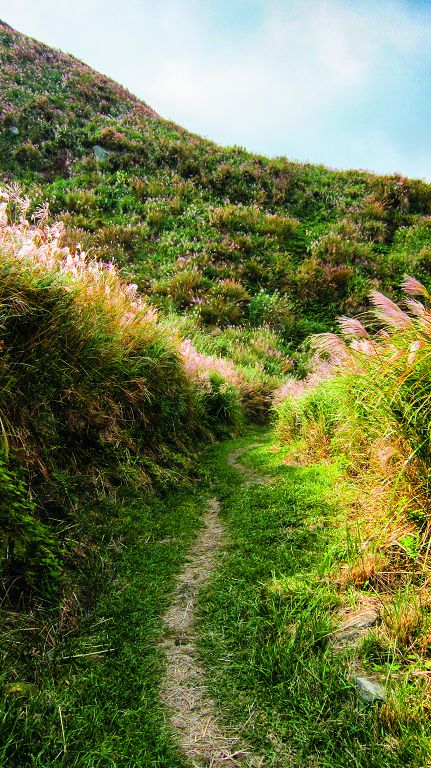 以軍事物資運送為目的日人路沿河南勇道旁的等高線修築,呈現之字形,數次與原河南勇道交會,坡度較為平緩/王姵琪攝