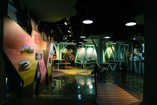 遊客中心內部以現代簡單手法之森林意象，創造室內與戶外連結之場景，遊客中心內部即為森林之一部分／雪管處提供（傅國銘攝）