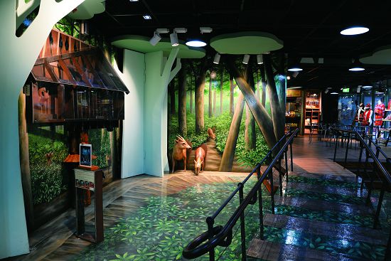 左側的蝙蝠屋、中間的AR擴增實境、右側結合樹冠層走道意象的無障礙坡道，處處具有設計巧思／雪管處提供（傅國銘攝）