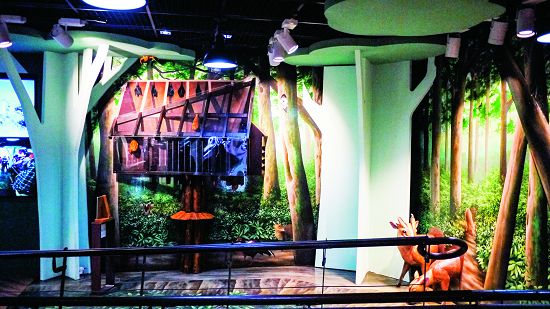 蝙蝠屋觀察模型