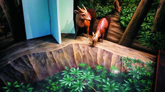 生態3D彩繪與山羌展示