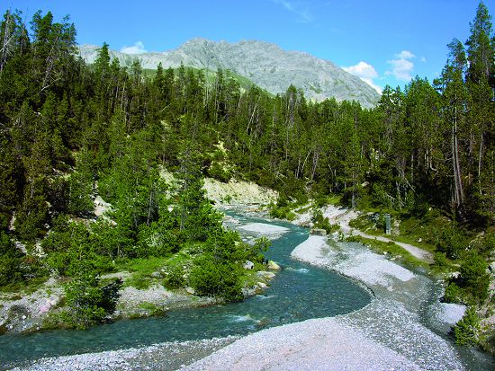 瑞士國家公園於2014年成立滿100周年