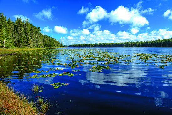 海達瓜依（Haida Gwaii）群島擁有豐富多元的棲地（圖為格拉漢姆島（Graham Island））