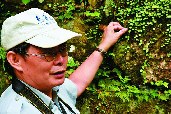 引導遊客觸摸伏石蕨葉片，觸覺也是五感解說教育中重要的一環／賴俊欽攝