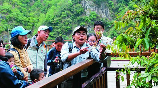 依據解說對象，將知識轉化，才能夠達到解說的目的（三代同遊國家公園活動觀察猿尾藤花絮）／太管處提供（王愛華攝）