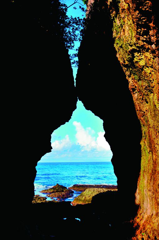 解說的功能就是「給予人們超出眼睛看到的一切」／墾管處提供