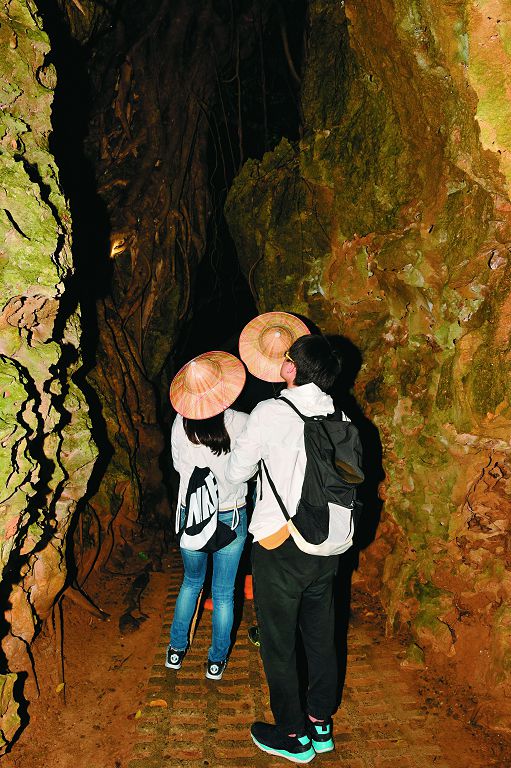 參加社頂社區夜間生態觀察，穿梭知名景點小裂谷，看見白日難遇的生態樣貌