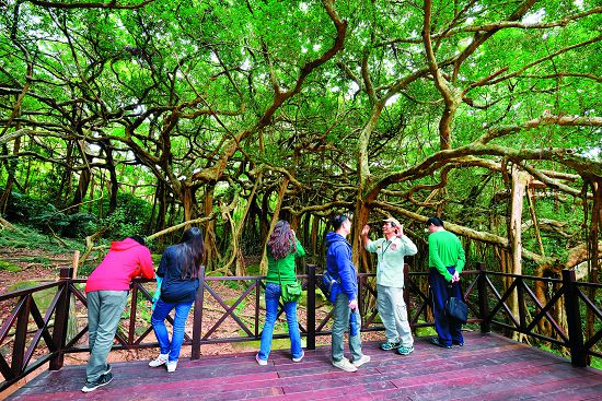 港口白榕園不只有少年Pi的奇幻漂流，更有許多在地人的記憶