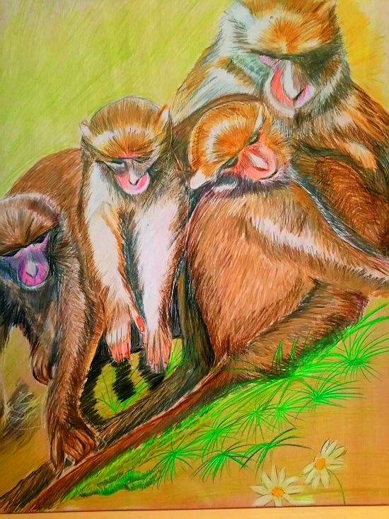 畫中生物細膩神情的表達來自於長年的觀察