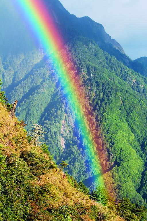 樂於成為一座連接人與自然的橋梁