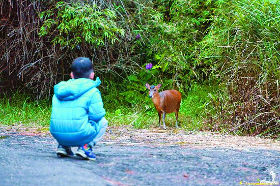 使用對的方式接近自然,自然也就更貼近於你/何昌穎攝