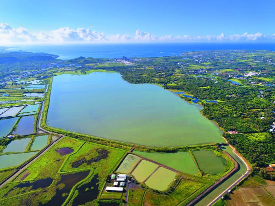 龍鑾潭周邊的水田、魚塭等，對於水鳥而言是重要的棲息環境