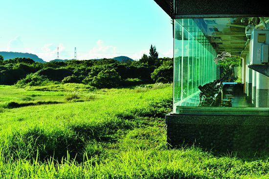 龍鑾潭自然中心復育保留原生植被，也是自然觀察的好所在