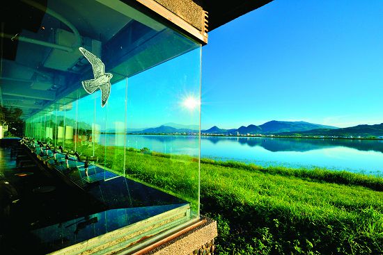 東側玻璃牆面上貼有猛禽形狀的防鳥撞貼紙