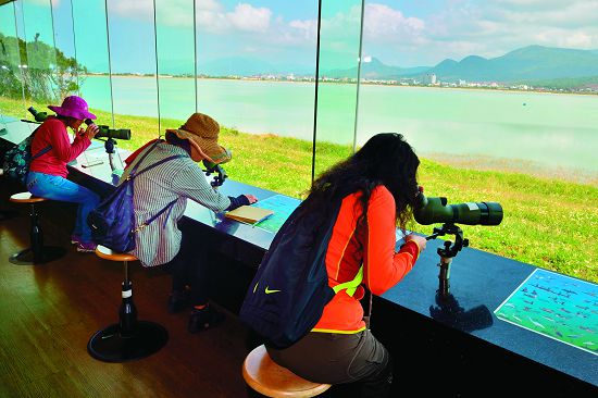 遊客使用自然中心高倍望遠鏡觀察鳥類，手邊還有常見鳥種圖示可供對照