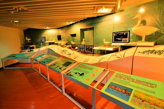 龍鑾潭自然中心內部解說展示