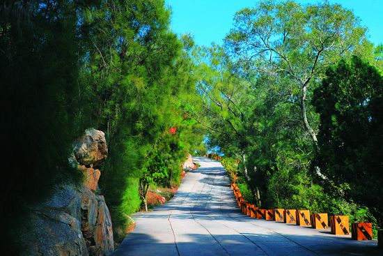 玉章路是太武山步道中最多遊客使用的步道，為1954 年沿原有古道所興築的戰備用道，五線譜的地面是一大特色