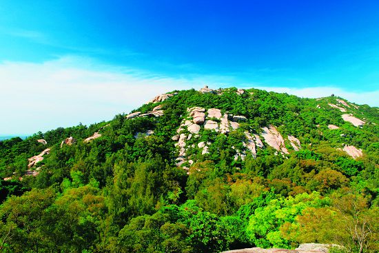 太武山植被多是耐旱、耐貧瘠的物種，且常呈匍匐狀生長