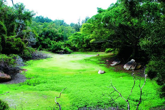 元履湖，「元履」的名稱來自於蔡厝祖先蔡復一的字號，明朝萬曆23 年進士，官拜督察院右督御史