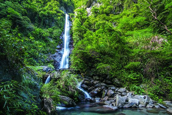 南安瀑布鄰近區域植相完整，是適合臺灣黑熊棲息覓食的所在