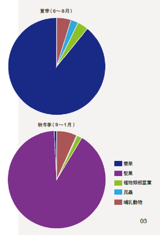 臺灣黑熊食物來源／資料來源：臺灣黑熊保育網（編輯部重繪）