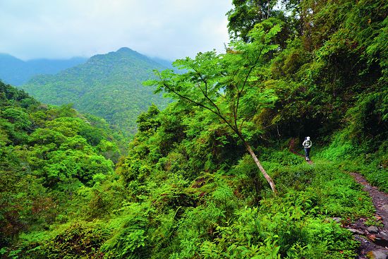 臺灣黑熊活動範圍廣闊，海拔500 ∼ 2,500公尺是相對活動較頻繁的區域