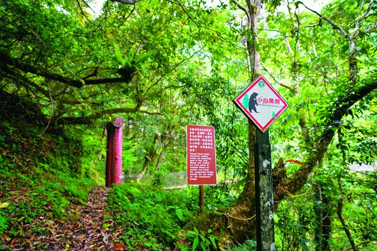 人類應該學習如何與臺灣黑熊共享山林，給予牠們生存空間和應有的尊重