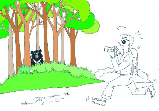 給予臺灣黑熊充分的尊重，不可追逐或挑釁 