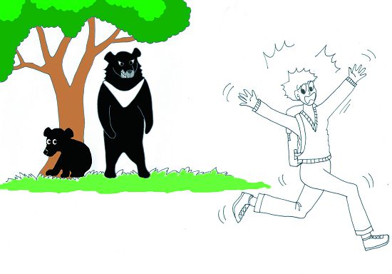 若在較近的距離遭遇黑熊，切莫驚慌喊叫或是做出突然性的激烈動作