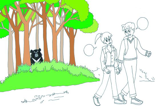 若在遠距離看見黑熊可以暫停前進，等待黑熊離開，或是繞道而行