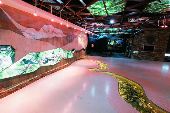 森林與河流的意象是南安遊客中心設計的概念主軸