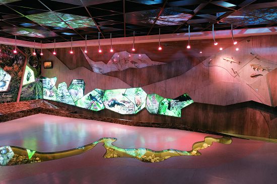 腳下是拉庫拉庫溪的縮景意象，四周圍繞著南安地區特色動植物，彷彿被南安的生態環境所包圍