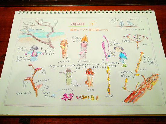 小亀いづる自然觀察筆記描述了家鄉環境的一年四季 