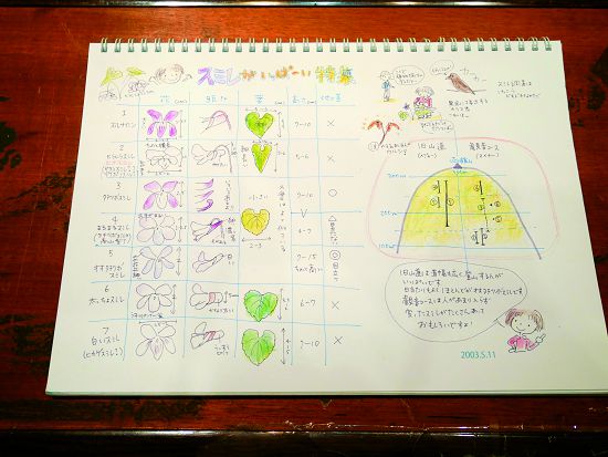 小亀いづる自然觀察筆記描述了家鄉環境的一年四季 