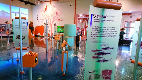 阿寒湖畔生態博物中心展示空間