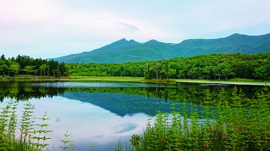 進入知床五湖步道需要先行申請