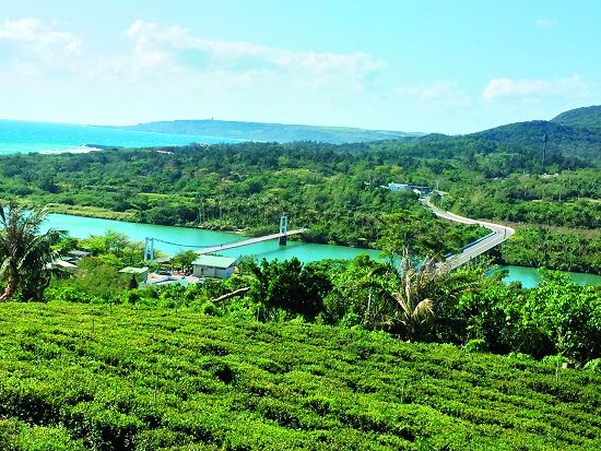 《滿茶古道紀行》