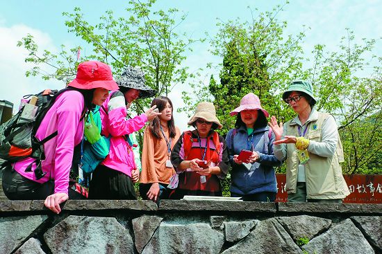 《竹子湖生態之旅活動》