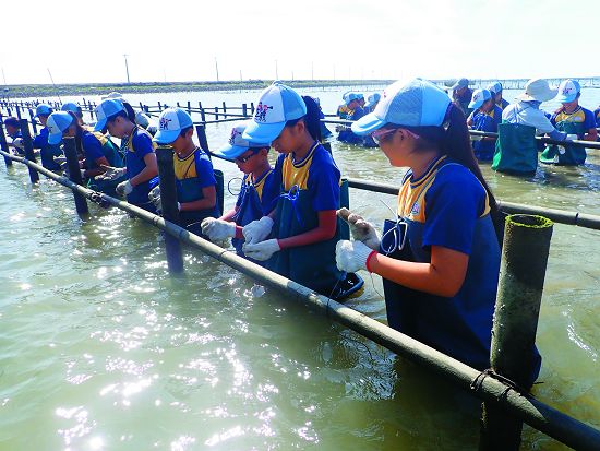 「蠔小子蚵南」─《一日蚵農體驗》