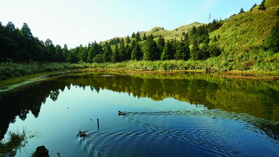國家公園聲景很重要的部分是由自然景觀及動植物產生的環境音構成／楊懷智攝