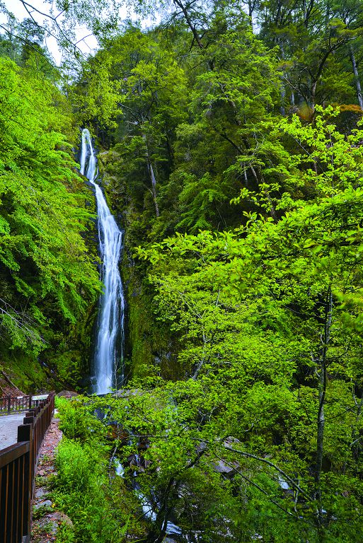 桃山瀑布水落激石／何小綠攝